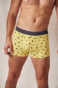 BOXER ALG Y LYCRA &quot;RAYITOS&quot; 