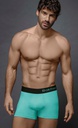 BOXER ALG LYCRA LISO ELASTICO