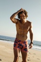 BOXER ALGODÓN-LYCRA ESTAMPADO &quot;ZINNIA&quot;  -