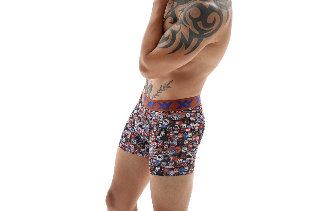 BOXER ALGODON Y LYCRA ESTAMPADO &quot;RUTAS&quot;