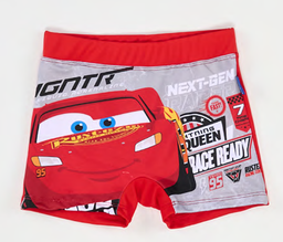 [DIS80398] VER. ZUNGA ESTAMPADA DE MICROFIBRA "CARS"